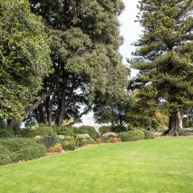 Gov House Garden III Banner