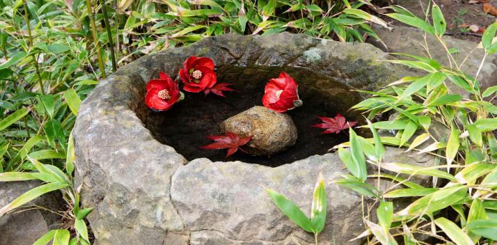 japanese-pond-stone-basin