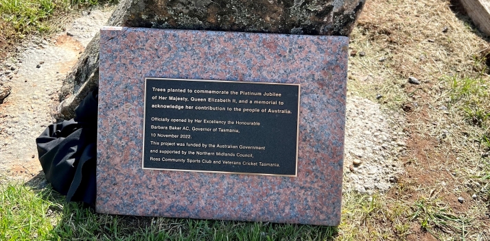 Veterans Cricket Tasmania