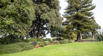 Gov House Garden III Banner